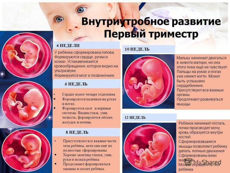 Информация об аборте